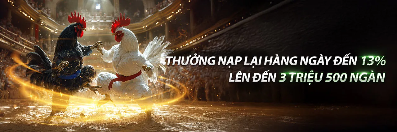 Hình ảnh chính thức của QQ8 với các tin tức mới nhất và khuyến mãi hấp dẫn